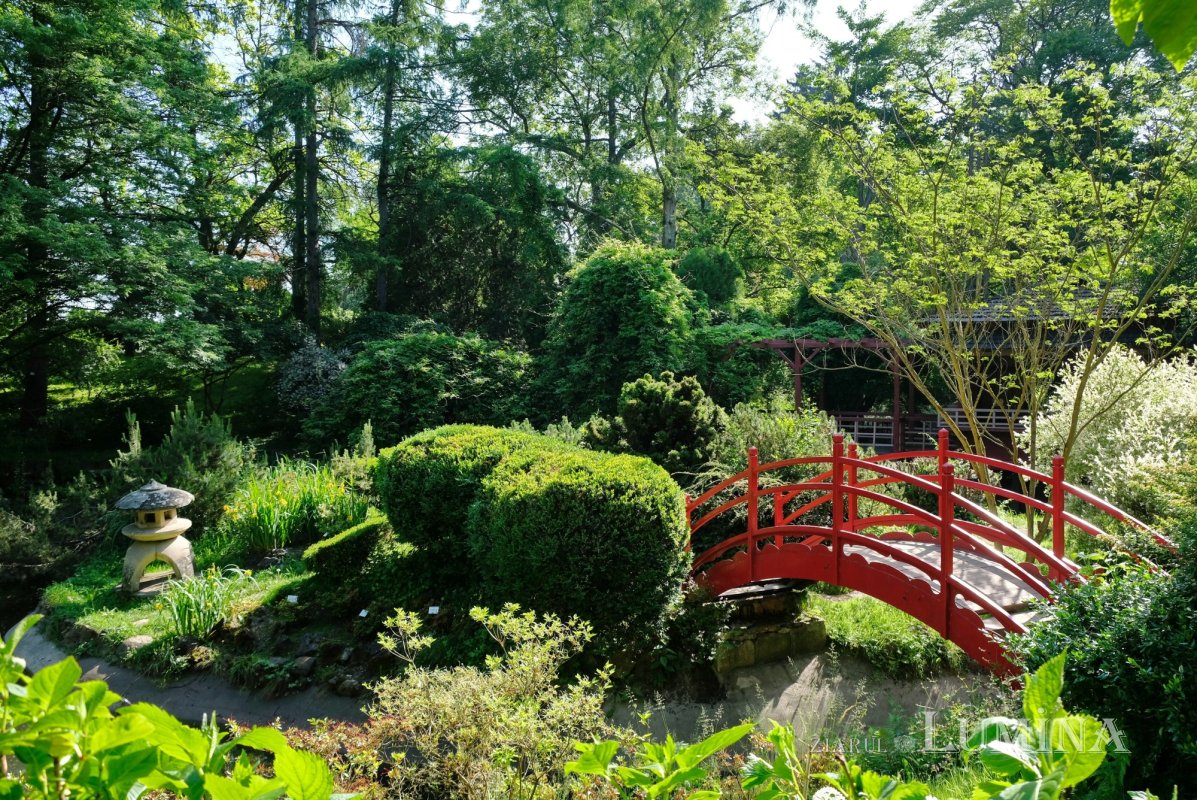 Plimbare printre zece mii de specii de plante 344801