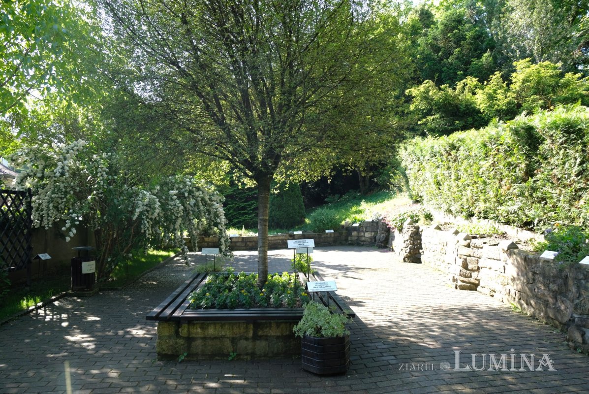 Plimbare printre zece mii de specii de plante 344802