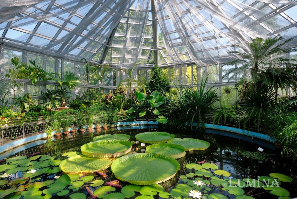 Plimbare printre zece mii de specii de plante 344806