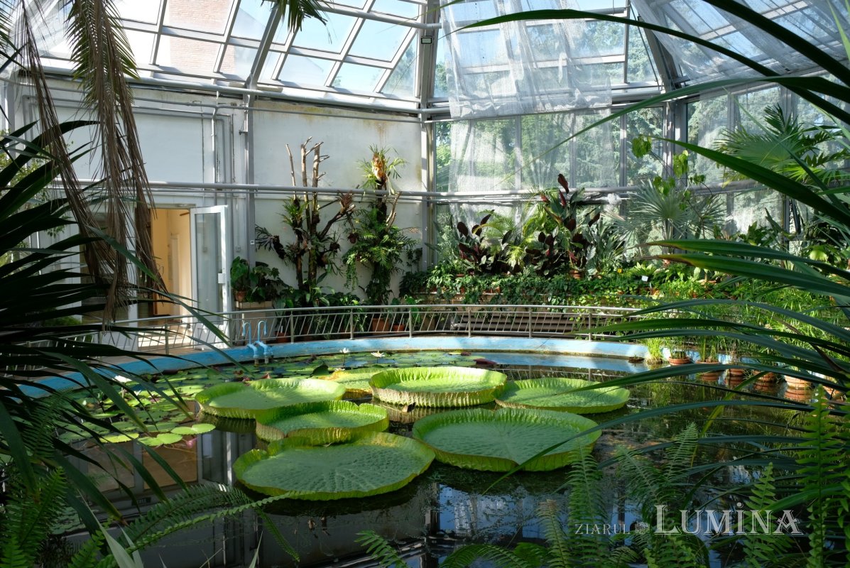 Plimbare printre zece mii de specii de plante 344810