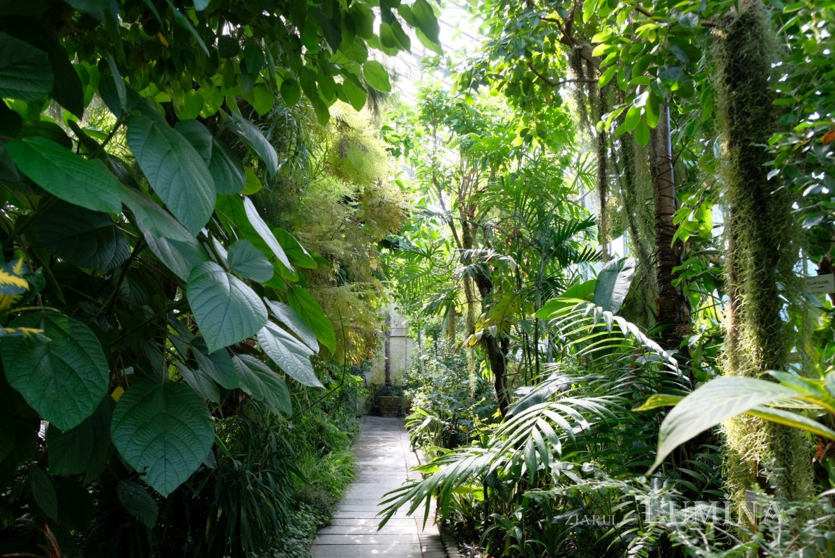 Plimbare printre zece mii de specii de plante 344818