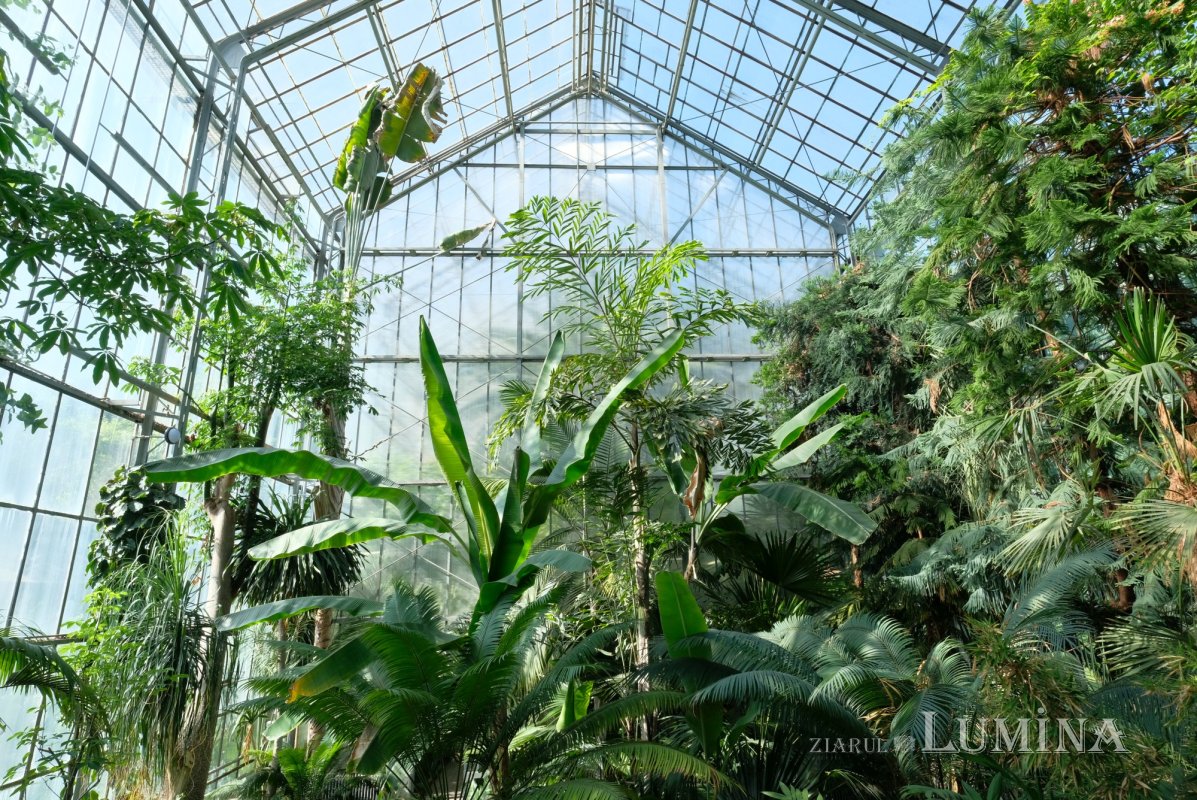 Plimbare printre zece mii de specii de plante 344822