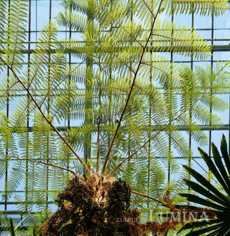 Plimbare printre zece mii de specii de plante 344825