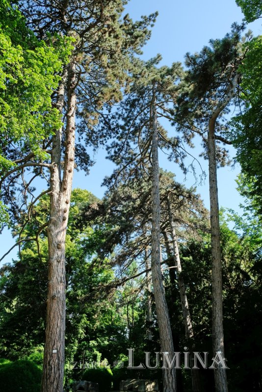 Plimbare printre zece mii de specii de plante 344826