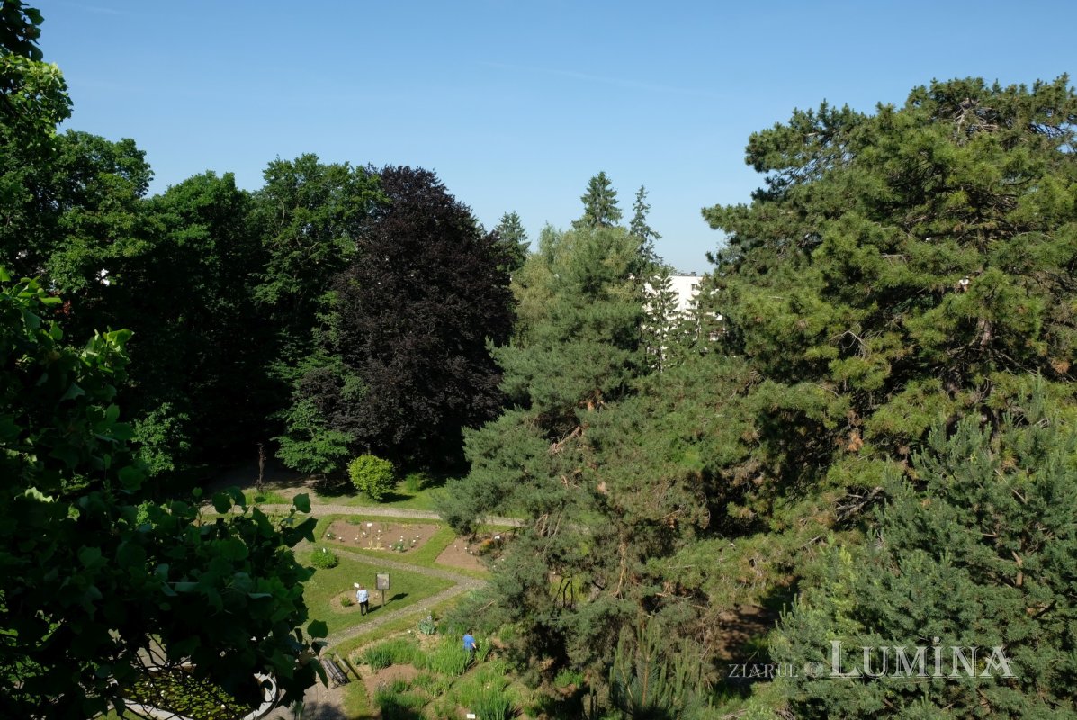 Plimbare printre zece mii de specii de plante 344830