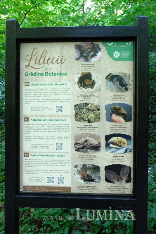 Plimbare printre zece mii de specii de plante 344831