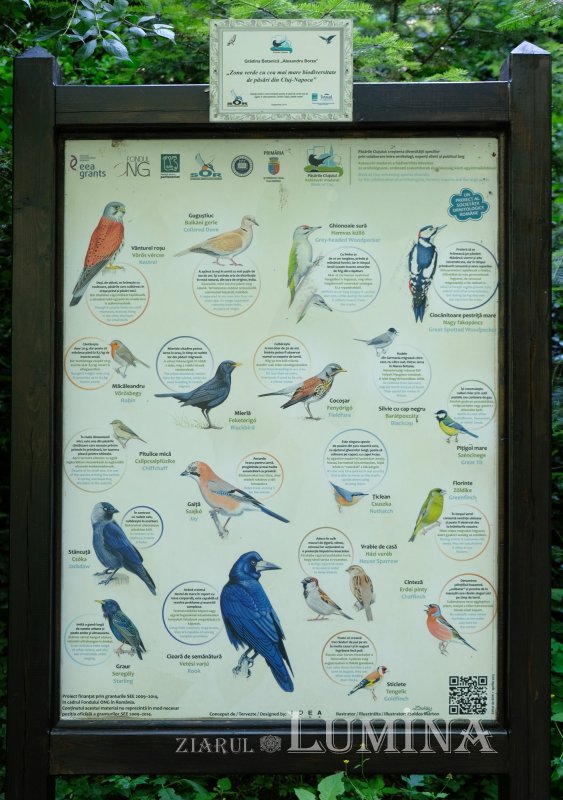 Plimbare printre zece mii de specii de plante 344832