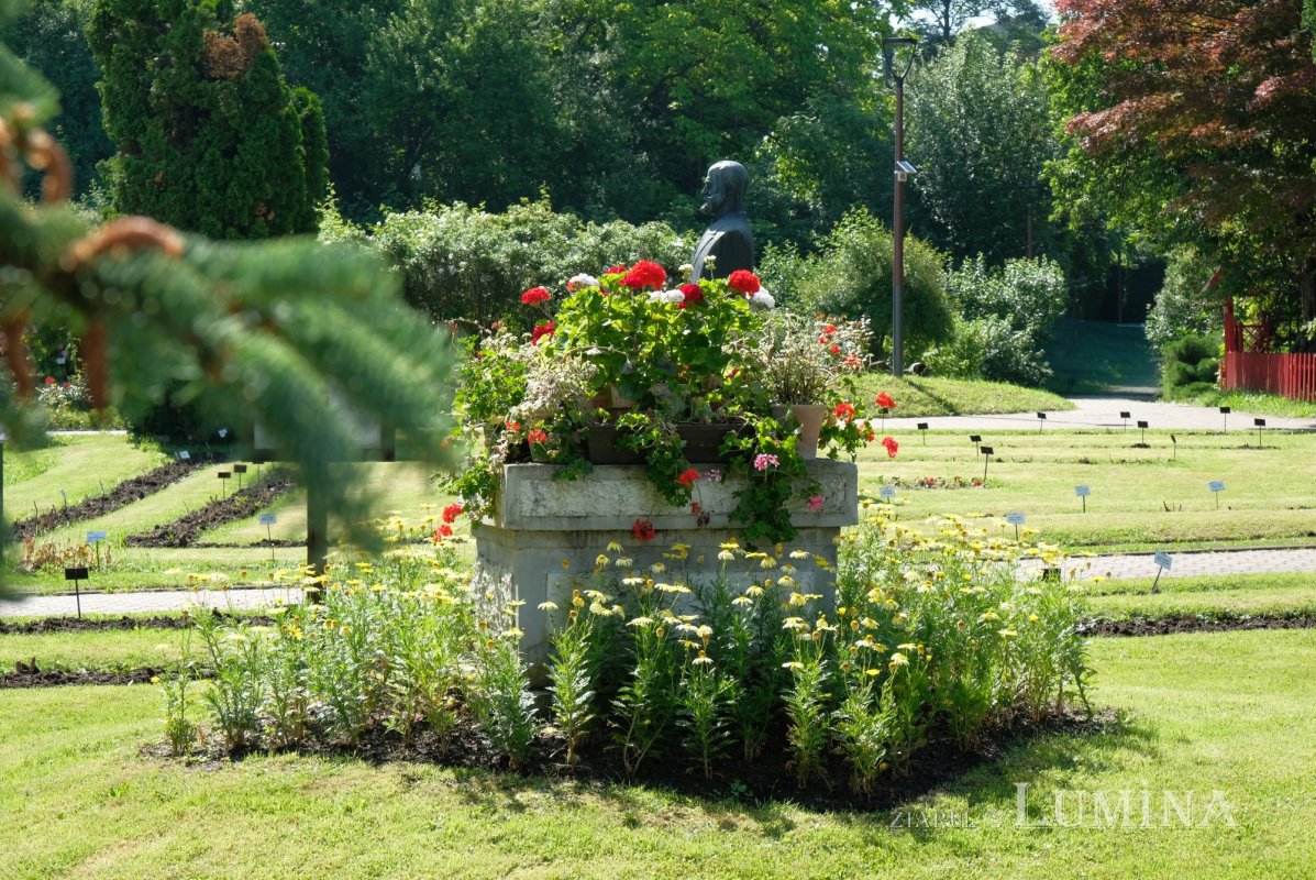 Plimbare printre zece mii de specii de plante 344834