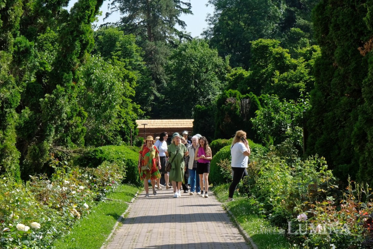 Plimbare printre zece mii de specii de plante 344835