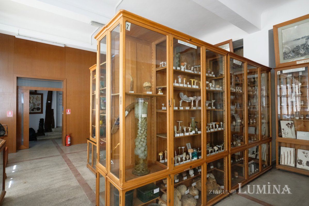 Plimbare printre zece mii de specii de plante 344836