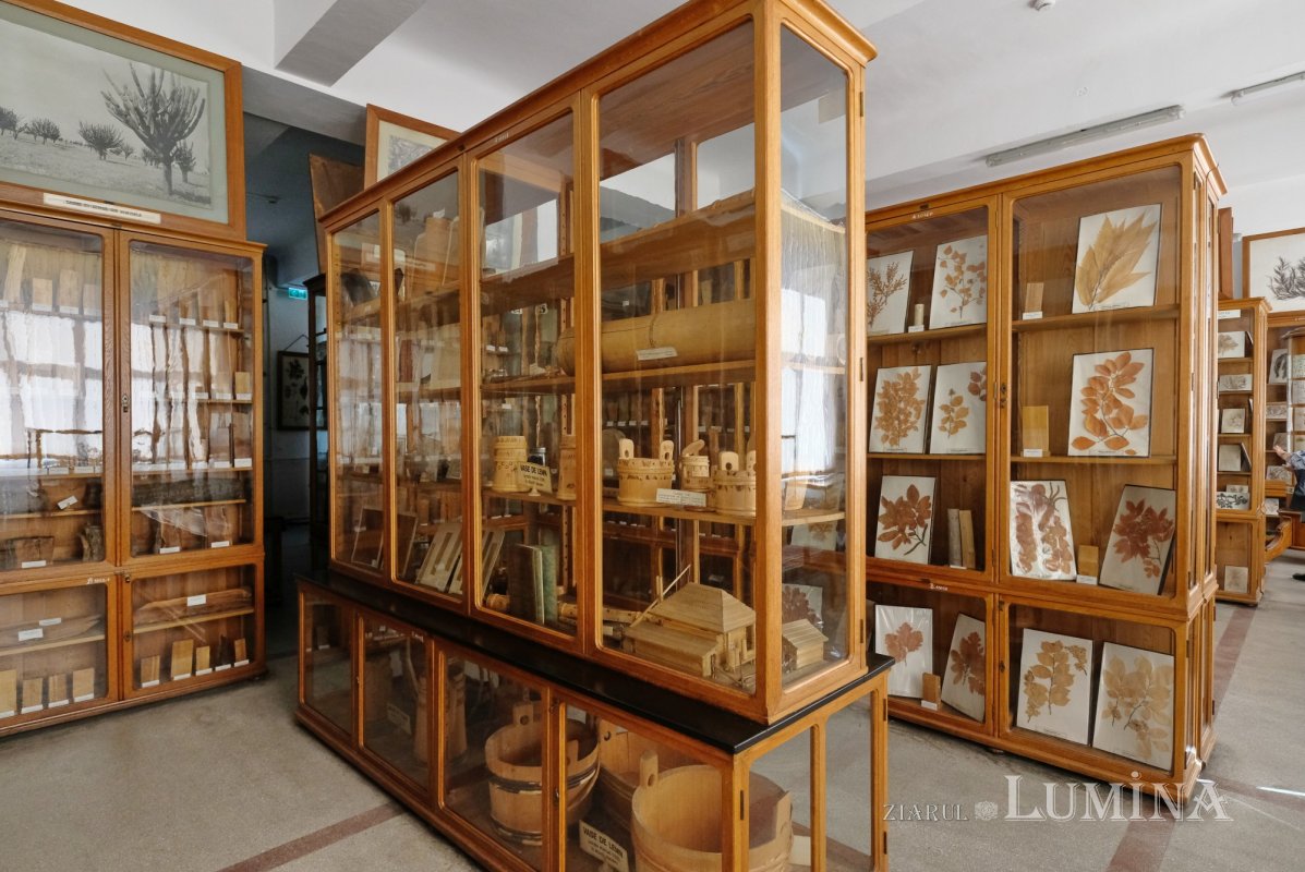 Plimbare printre zece mii de specii de plante 344837