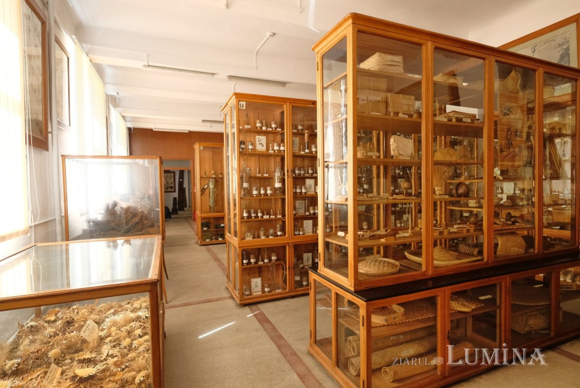 Plimbare printre zece mii de specii de plante 344838