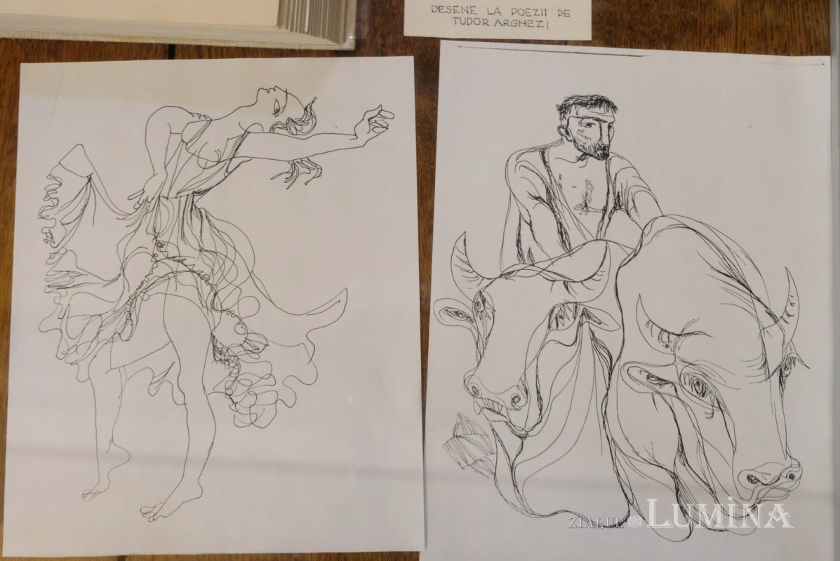 O colecție fabuloasă într-o casă care are nevoie de ajutor 346678