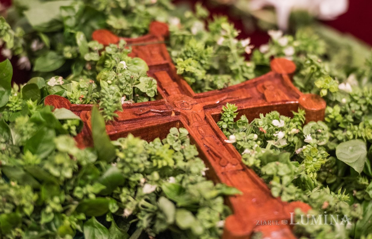 Luca 9, 23-27 274975