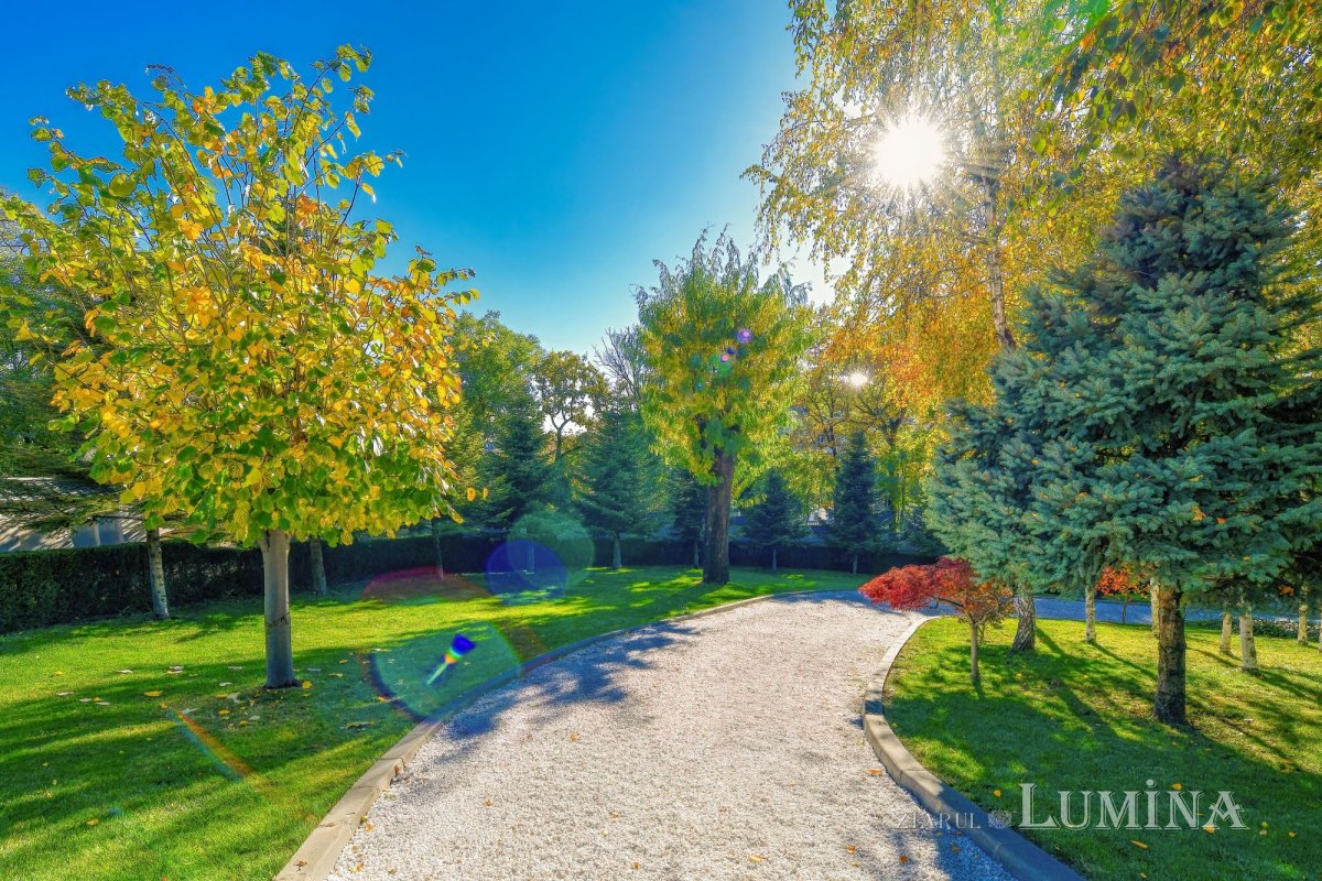 Sclipirile Luminii: Parcul „Grădina Maicii Domnului” al Reşedinţei Patriarhale din Bucureşti, toamna 347162