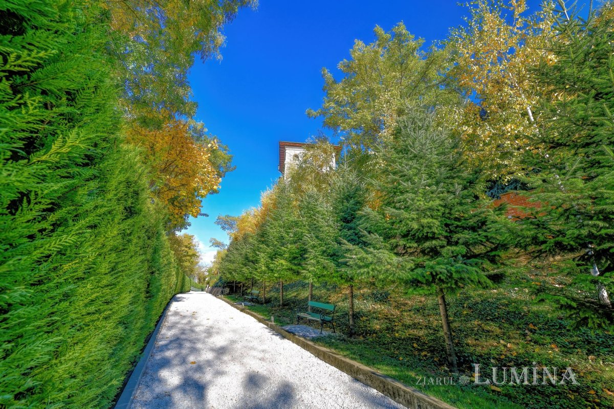 Sclipirile Luminii: Parcul „Grădina Maicii Domnului” al Reşedinţei Patriarhale din Bucureşti, toamna 347164