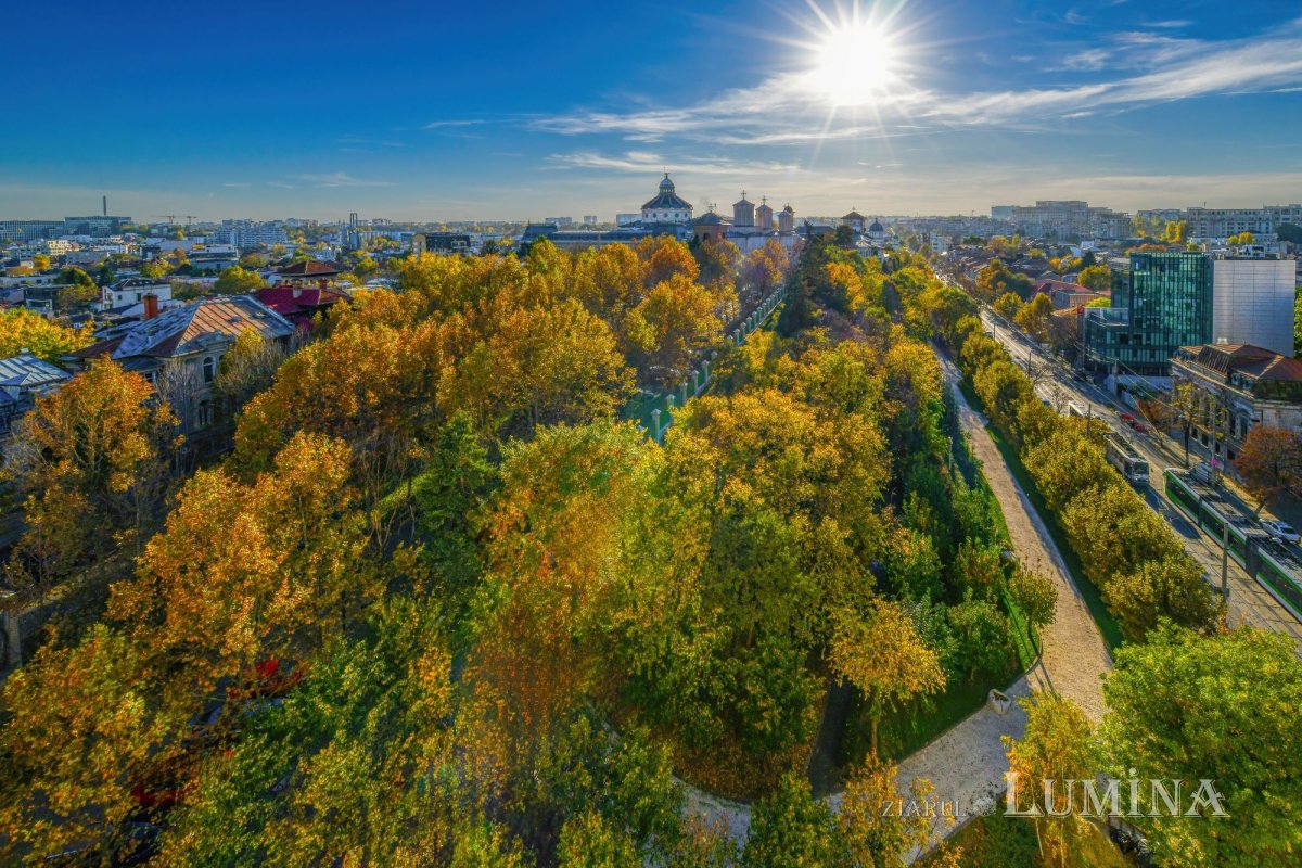 Sclipirile Luminii: Parcul „Grădina Maicii Domnului” al Reşedinţei Patriarhale din Bucureşti, toamna 347166