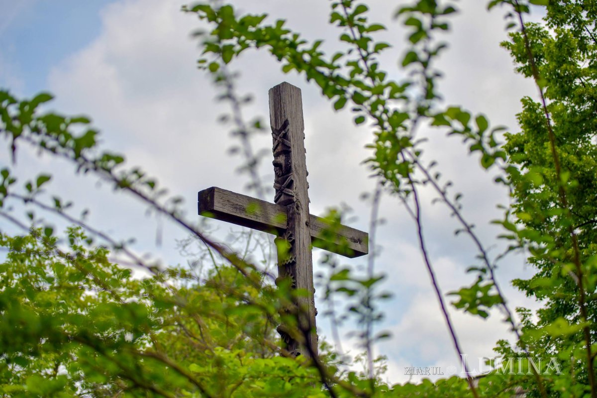 Vremea pocăinței 304762