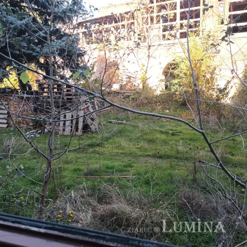 Un palat prea îndepărtat 352545