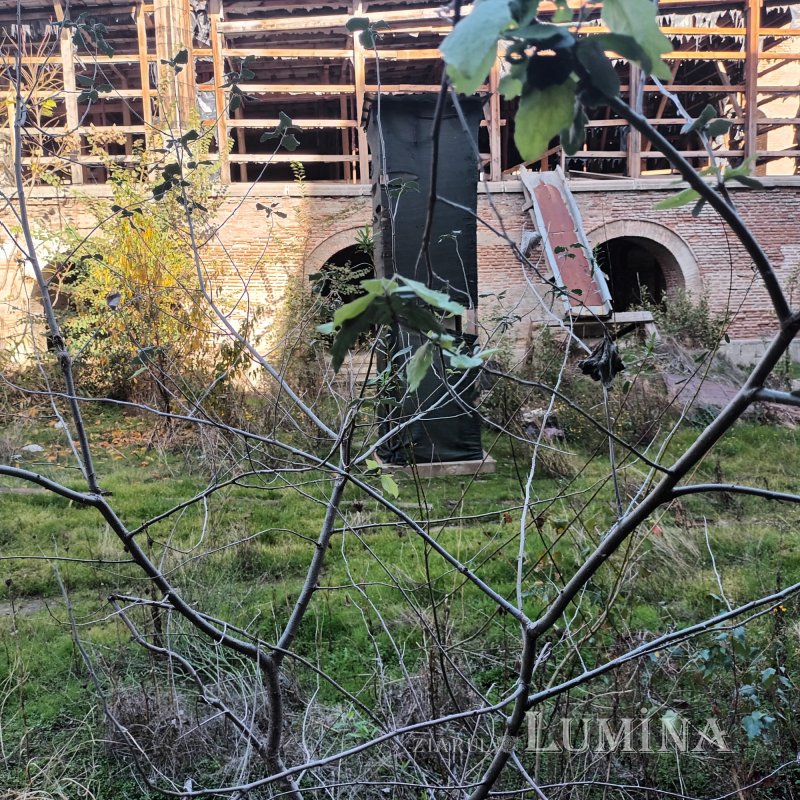 Un palat prea îndepărtat 352546