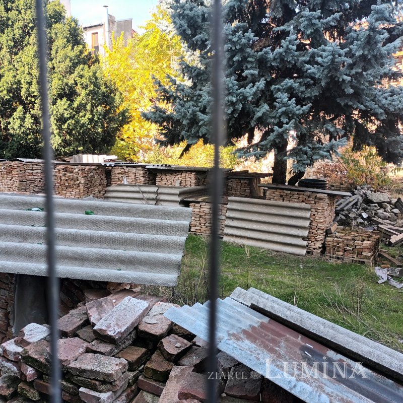 Un palat prea îndepărtat 352547