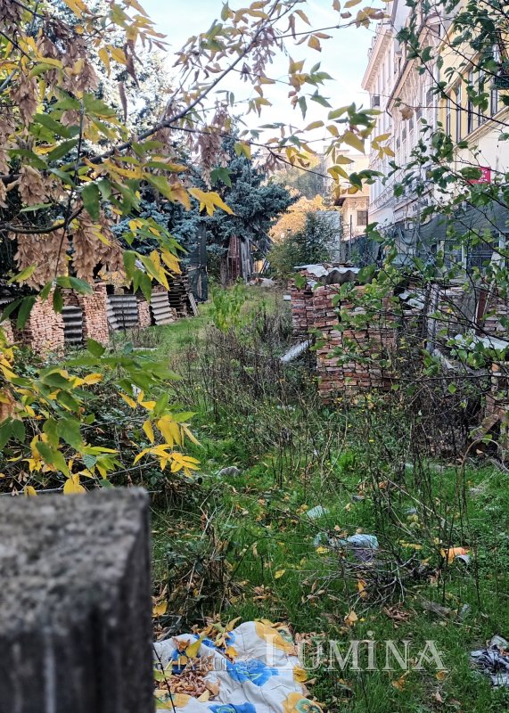 Un palat prea îndepărtat 352551