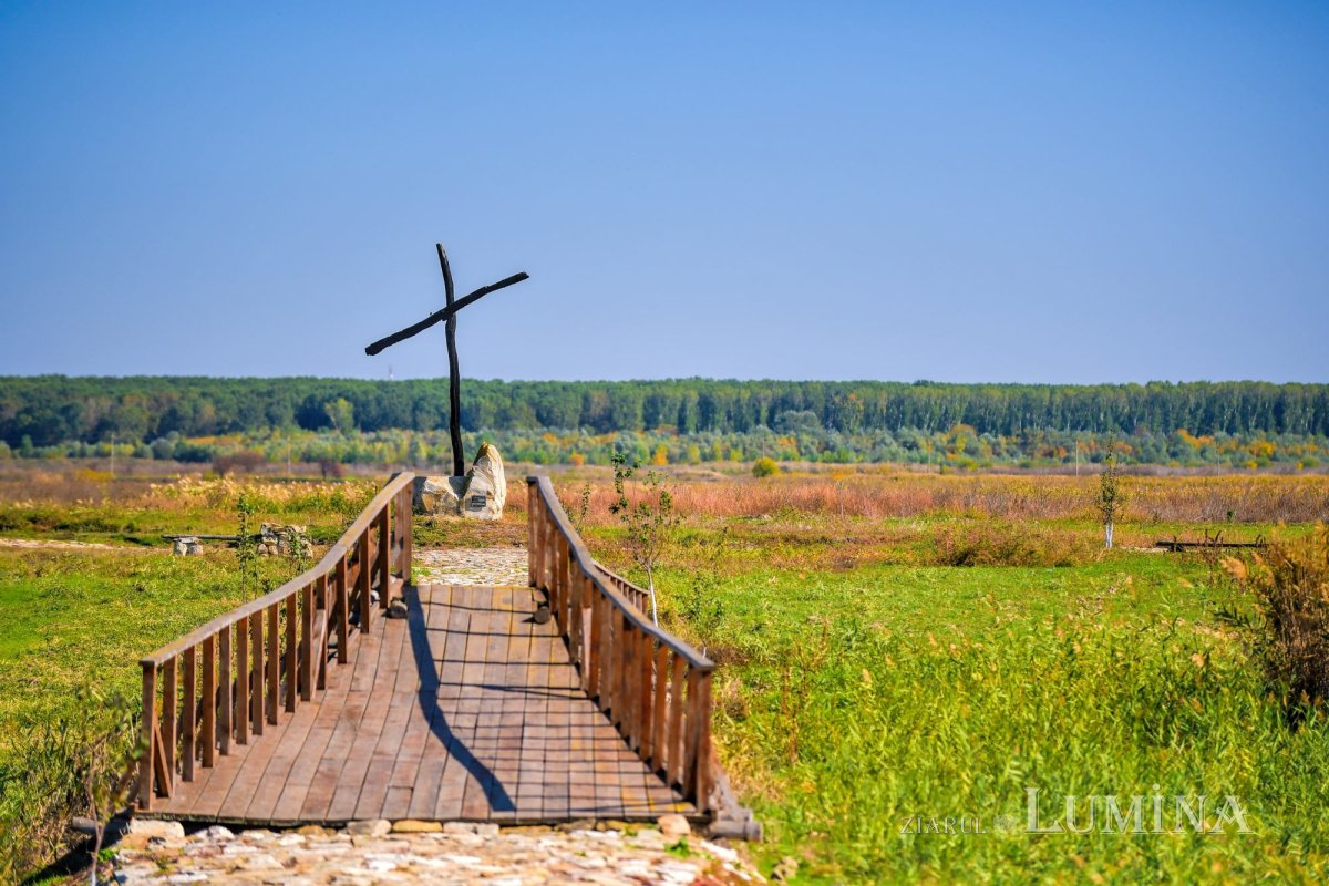 Sensul omului din perspectivă patristică 352897