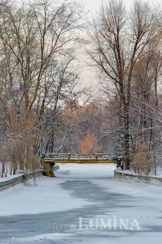 „Vouă vi s-a dat să cunoaşteţi tainele Împărăţiei cerurilor” 352900