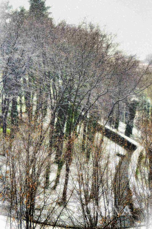 Sclipirile Luminii: Iarna la Patriarhia Română 353529