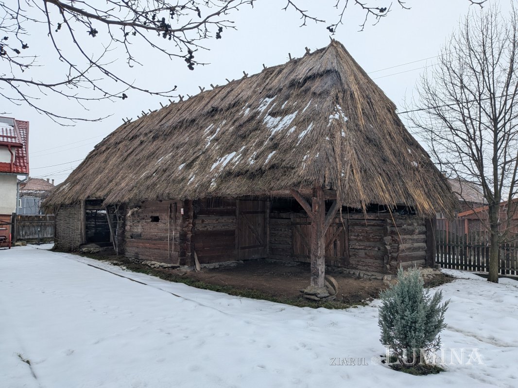 Acasă la Badea Cârțan, un atlet al latinității în Imperiul Austro-Ungar 353834