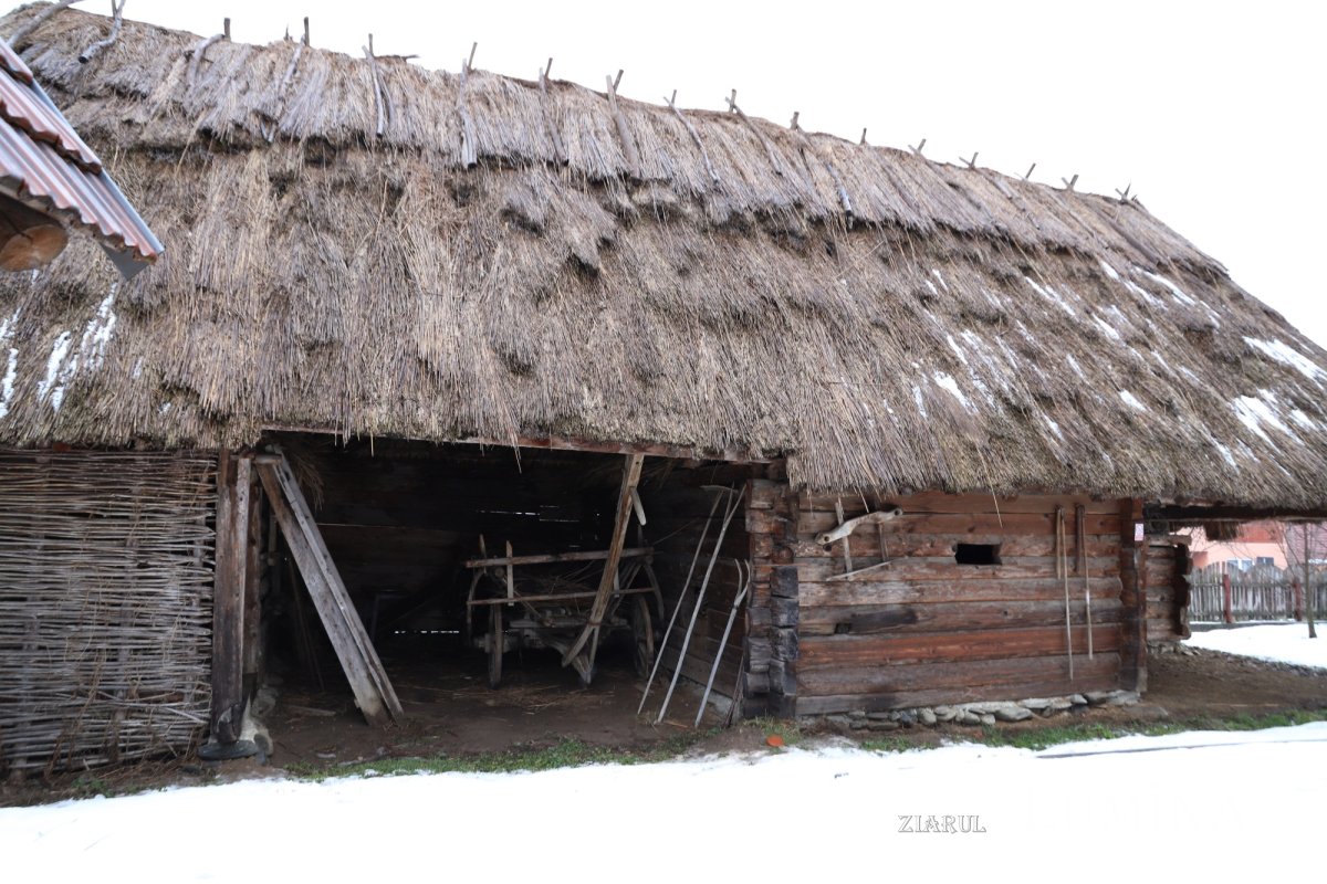 Acasă la Badea Cârțan, un atlet al latinității în Imperiul Austro-Ungar 353835