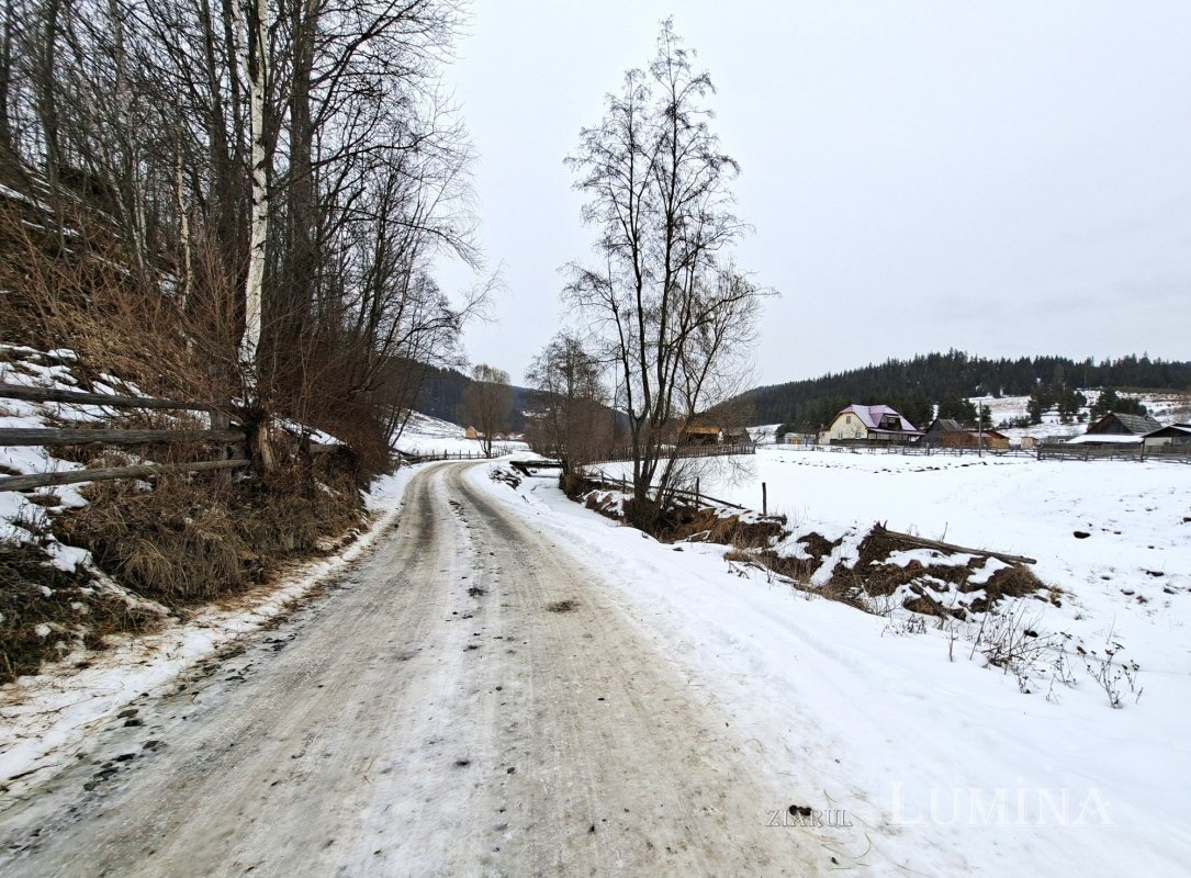 Leagănul copilăriei bucovinene a Sfintei Cuvioase Elisabeta de la Pasărea 355563