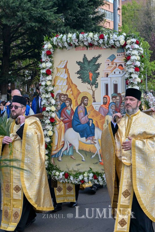 Sclipirile Luminii: Procesiunea de Florii 358865