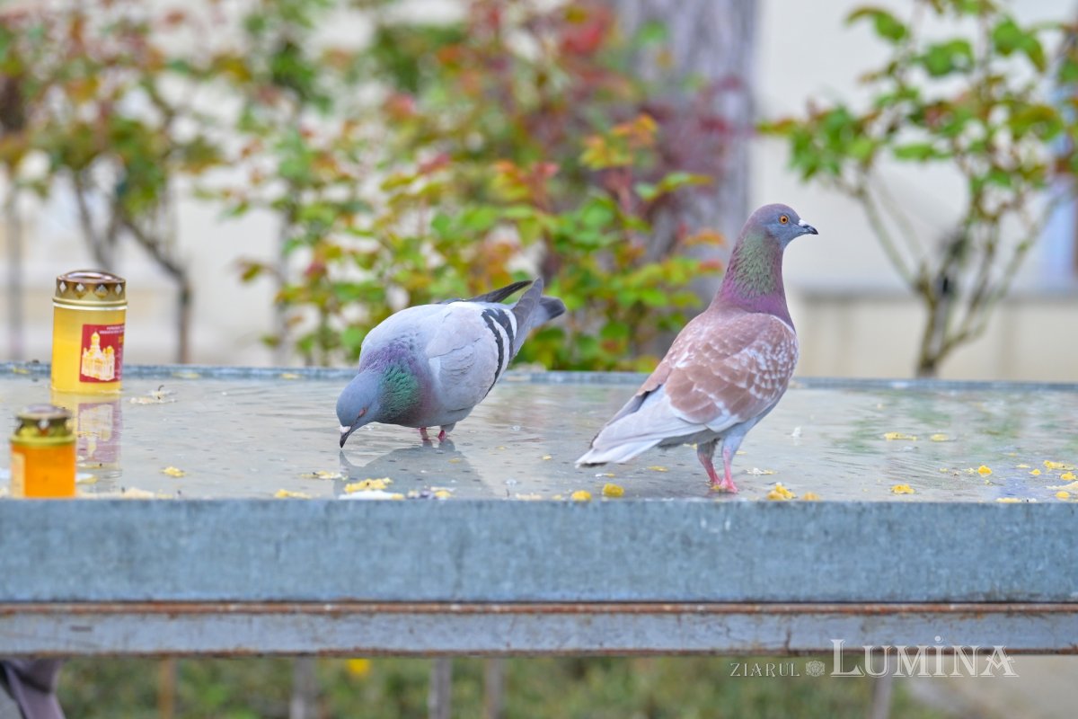 Slujba Vecerniei din prima zi de Paști la Catedrala Patriarhală 359834