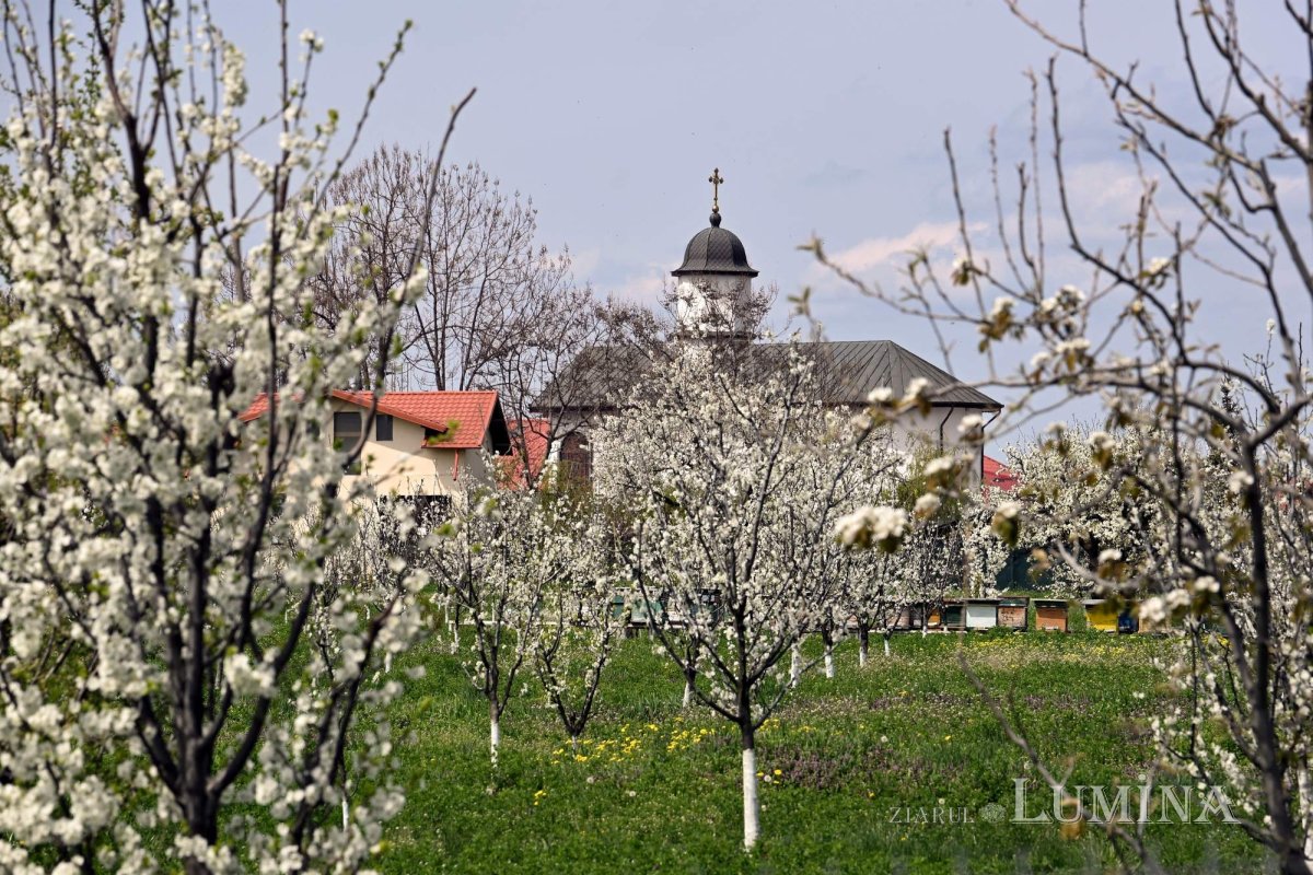 Sclipirile Luminii: Mănăstirea Ghighiu 360143