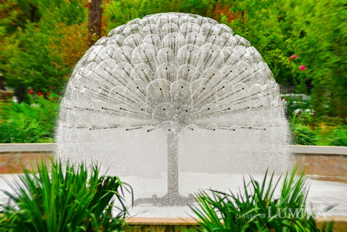 Bucurați-vă! 360358