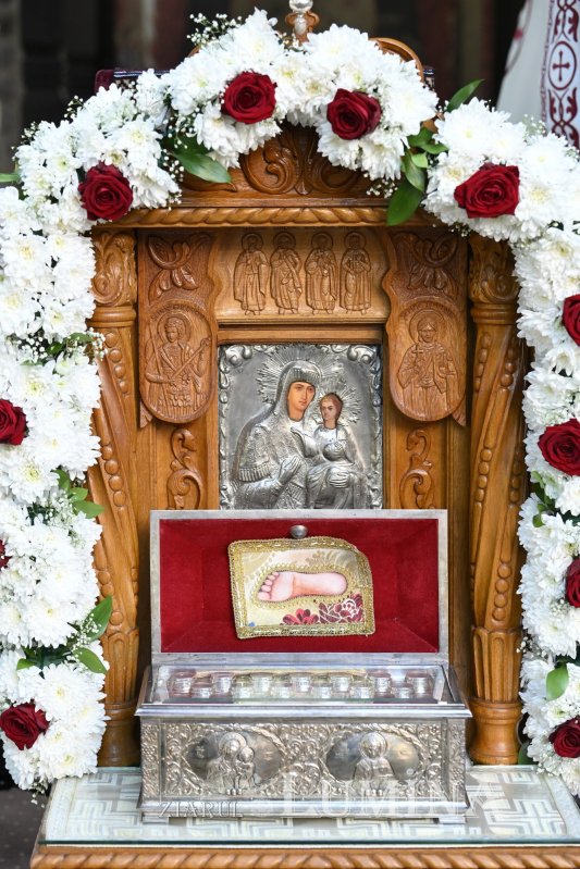 Ziua Forțelor Terestre Române 360832