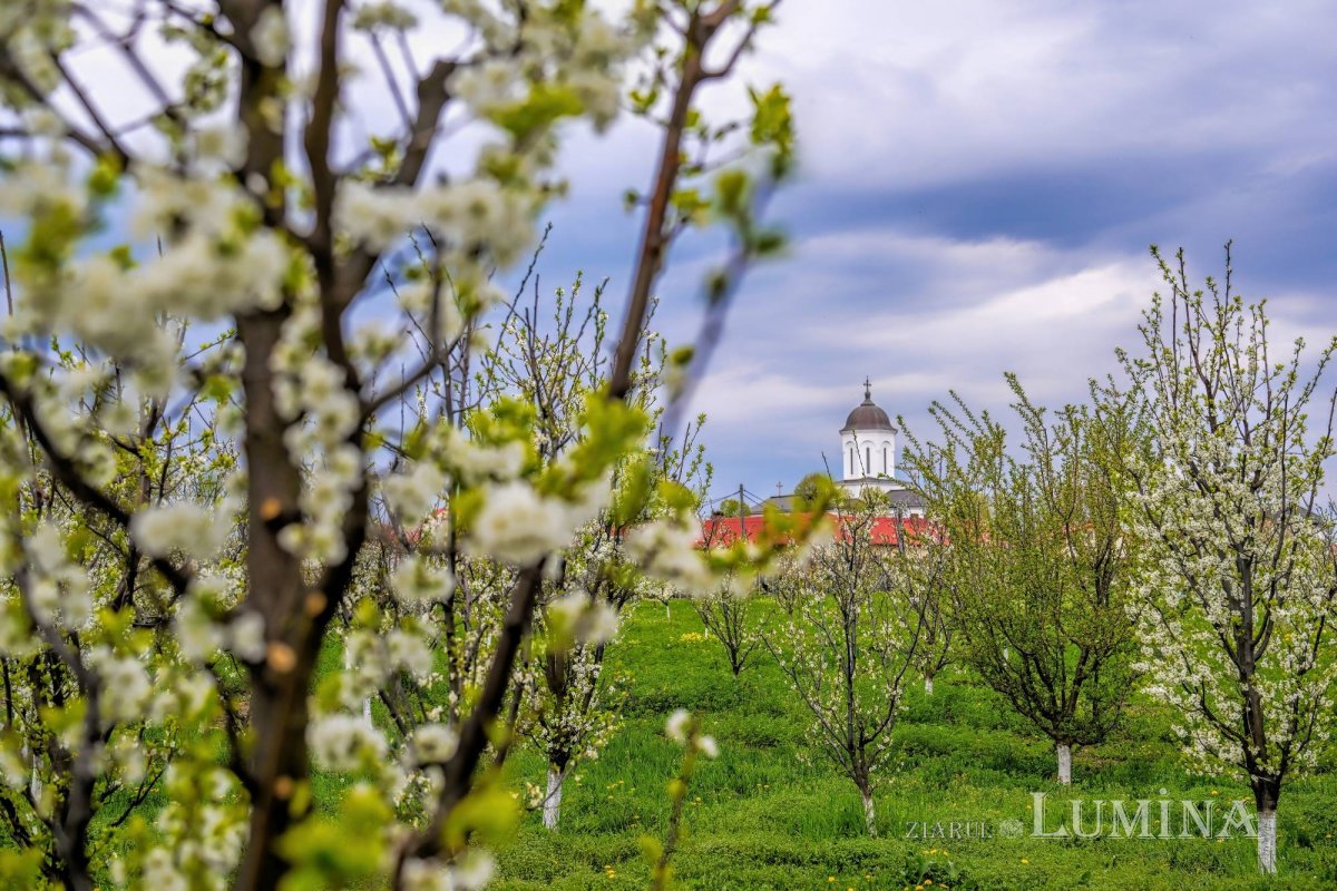 Sclipirile Luminii: Lăcaşuri sfinte în culorile primăverii 360818