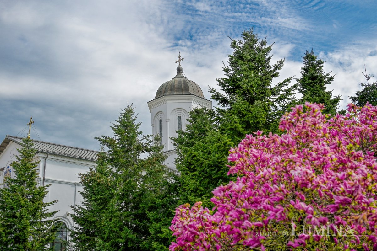 Bucuriile urmării lui Hristos 360964