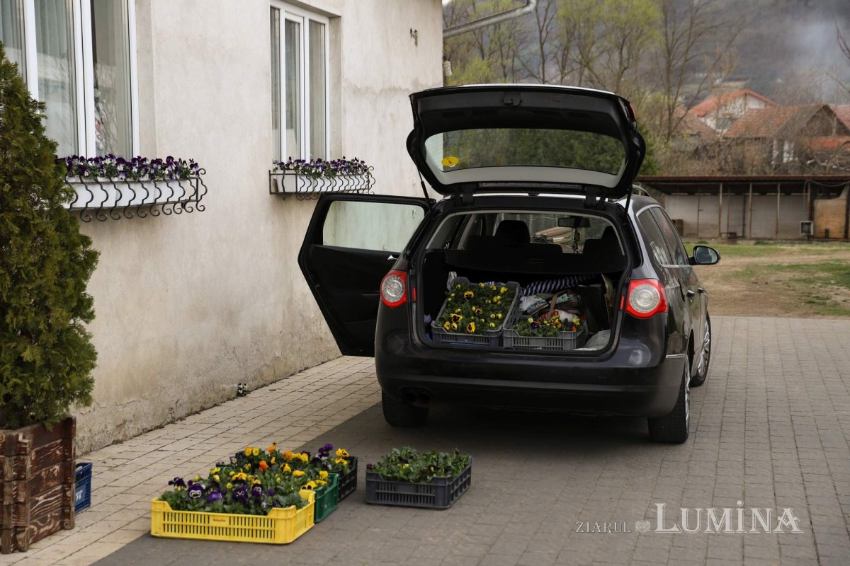 Florile credinţei din sufletul unei eleve olimpice 360263