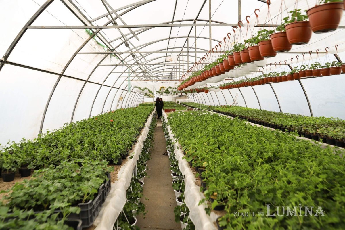 Florile credinţei din sufletul unei eleve olimpice 360277