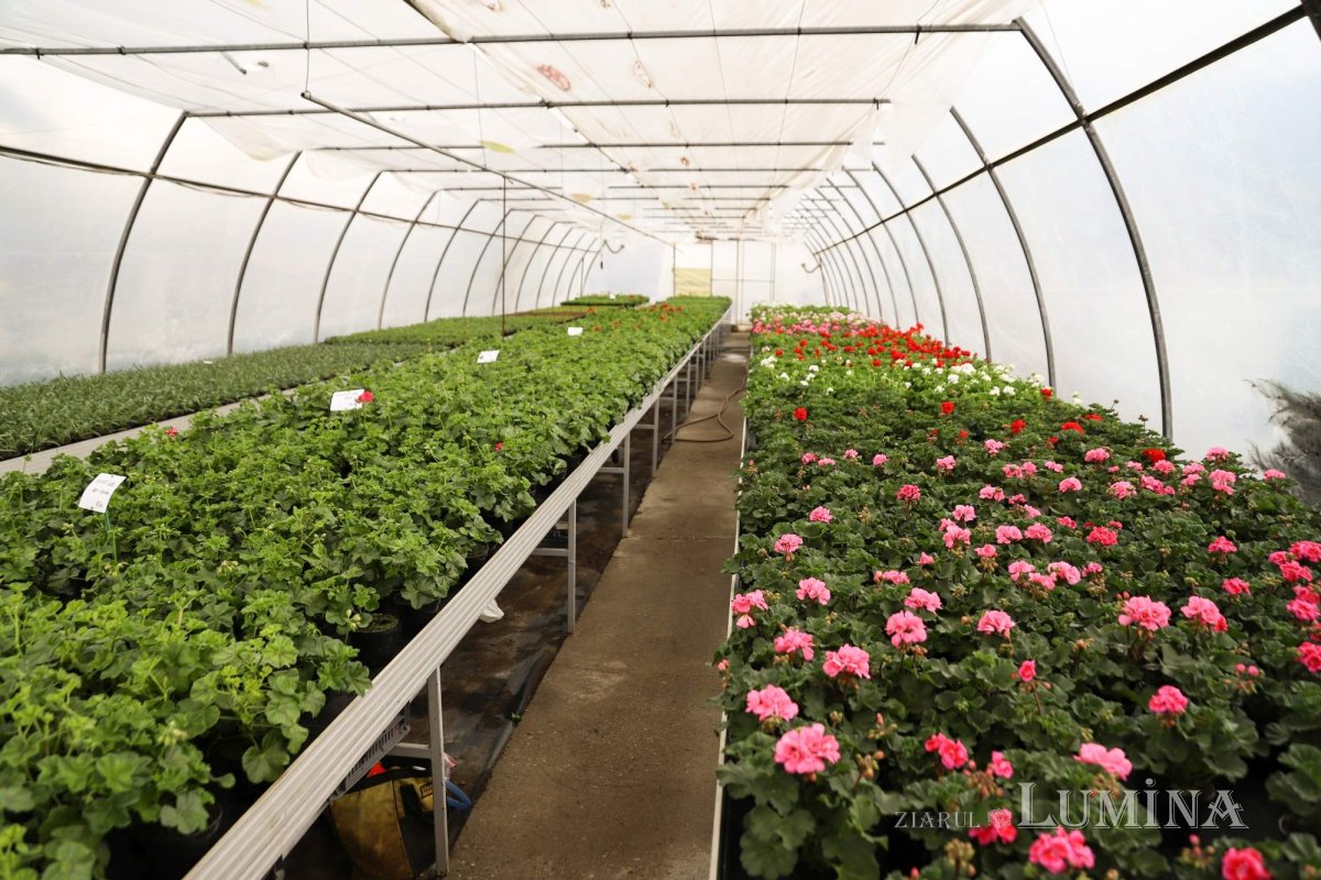 Florile credinţei din sufletul unei eleve olimpice 360284