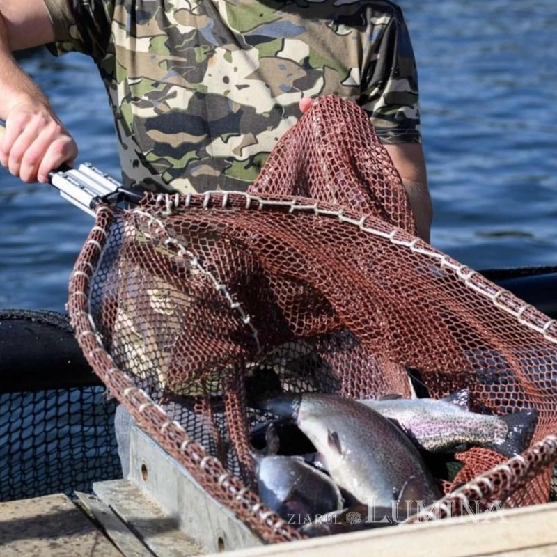 „Păstrăvul din ţara ta” - rodul unei lucrări în comuniune și responsabilitate  360965