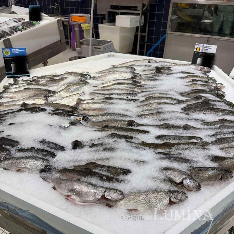 „Păstrăvul din ţara ta” - rodul unei lucrări în comuniune și responsabilitate  360966