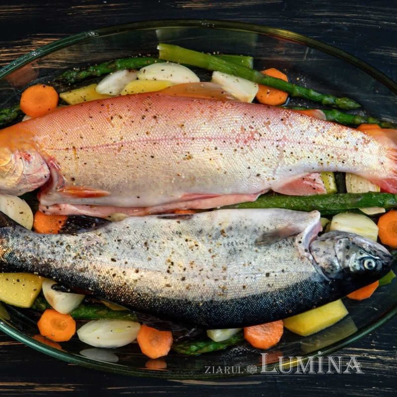 „Păstrăvul din ţara ta” - rodul unei lucrări în comuniune și responsabilitate  360968