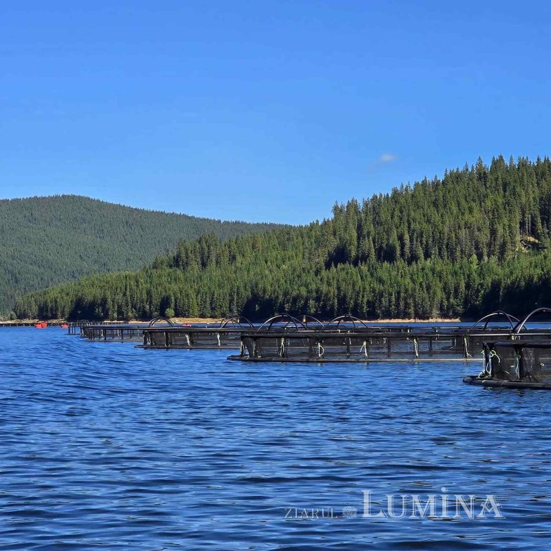 „Păstrăvul din ţara ta” - rodul unei lucrări în comuniune și responsabilitate  360969