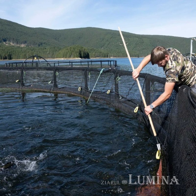 „Păstrăvul din ţara ta” - rodul unei lucrări în comuniune și responsabilitate  360972