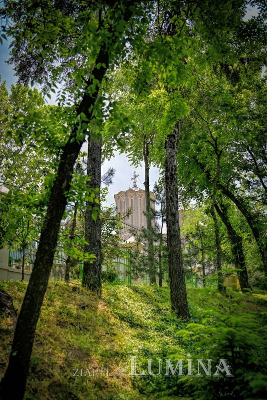 Sclipirile Luminii: Parcul „Grădina Maicii Domnului” al Reşedinţei Patriarhale din Bucureşti 362772