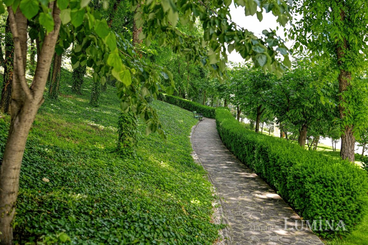 Sclipirile Luminii: Parcul „Grădina Maicii Domnului” al Reşedinţei Patriarhale din Bucureşti 362773