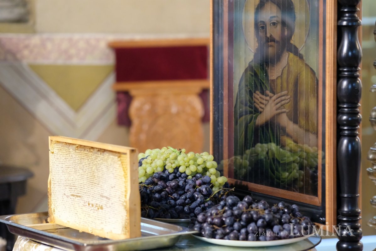 Sărbătoarea istorică a Mănăstirii Cernica 370206